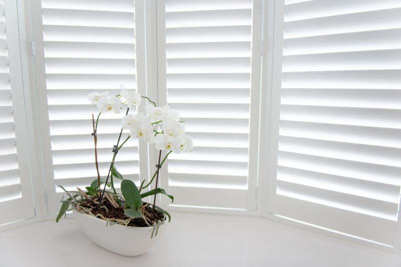 Shutters Replacement in Arvada, CO